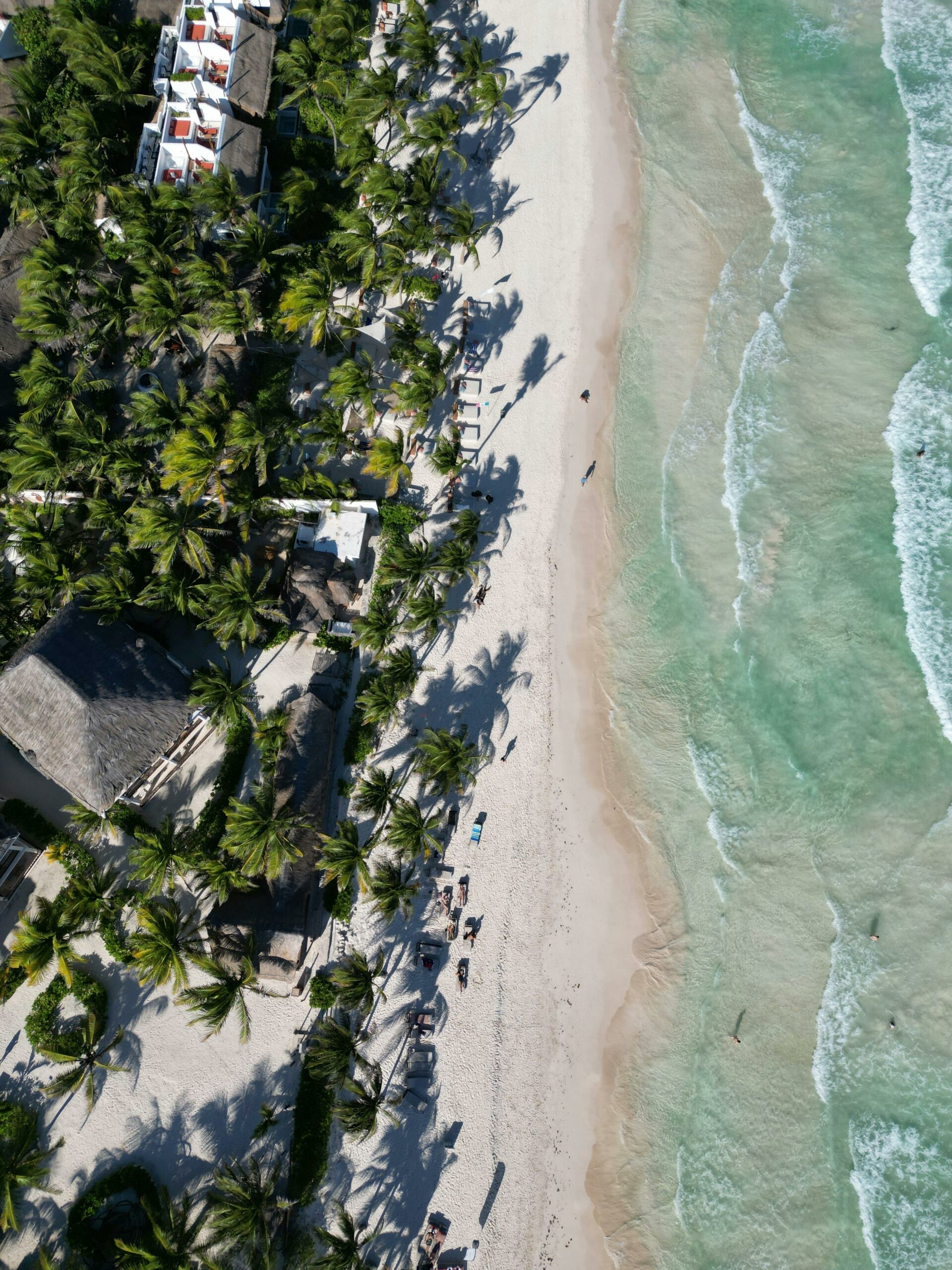 Cancun Shoreline