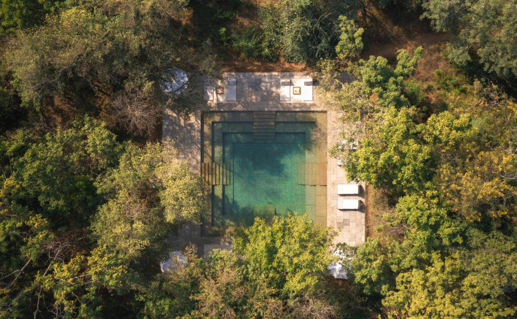 Dip into the refreshing pool water after a day of safari.