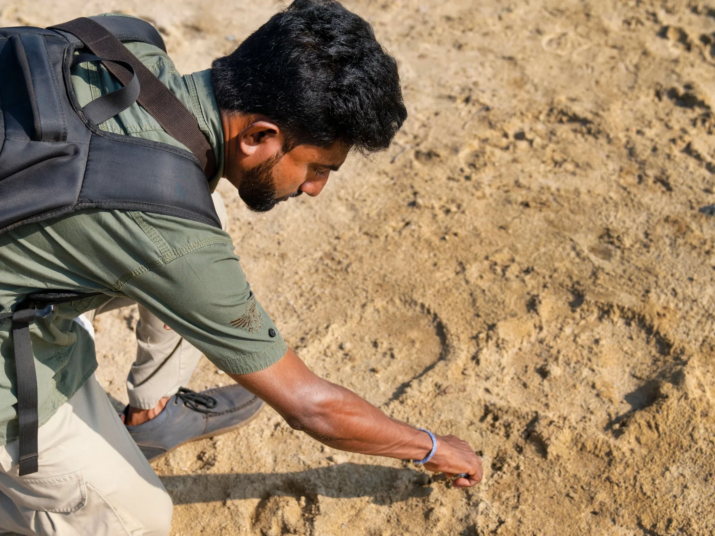 Wild Coast Tented Lodge is a short distance from the Yala National Park, known for its leopard and other rich wildlife. Game drives from the lodge offer the chance to track leopards through dry forests