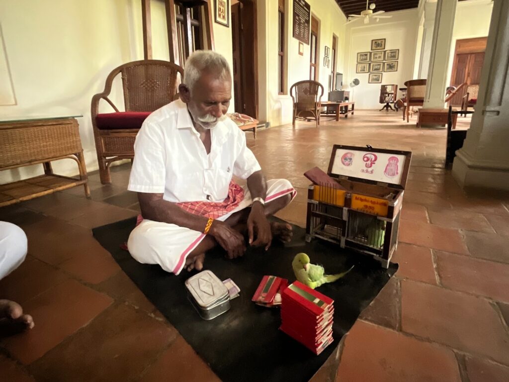 Plenty to do at the mansion, including parrot-powered tarot readings. Accurate? You tell us! Photo by Rayhaan Imam